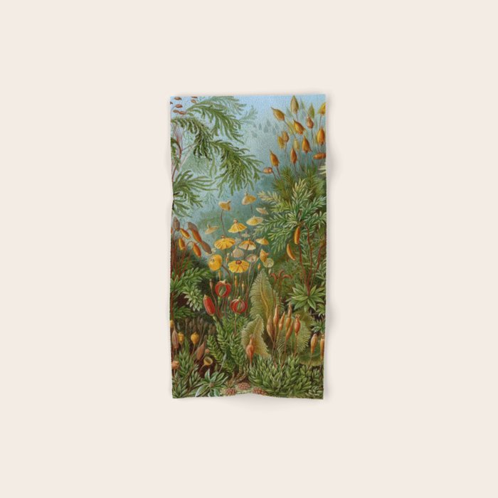 Art Forms of Nature - Ernst Haeckel - 1899-1904  Bath Towel Gallery Image 1