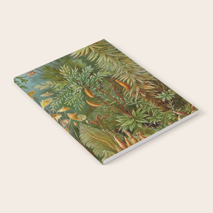 Art Forms of Nature - Ernst Haeckel - 1899-1904  Notebook