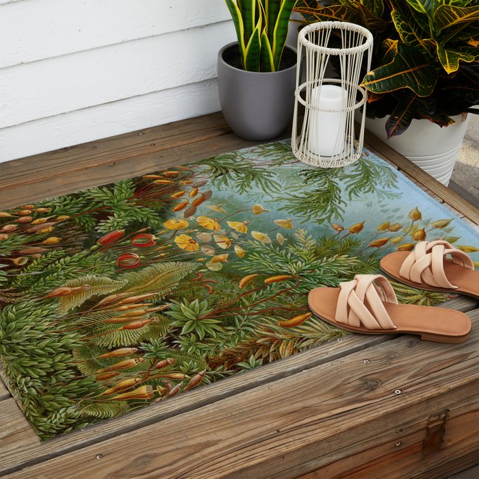 Art Forms of Nature - Ernst Haeckel - 1899-1904  Outdoor Rug Gallery Image 2