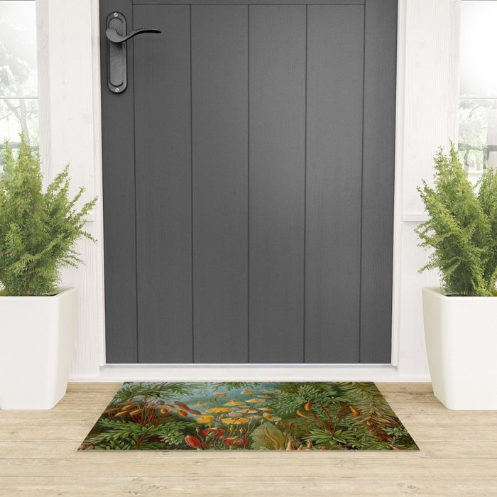 Art Forms of Nature - Ernst Haeckel - 1899-1904  Welcome Mat Gallery Image 3