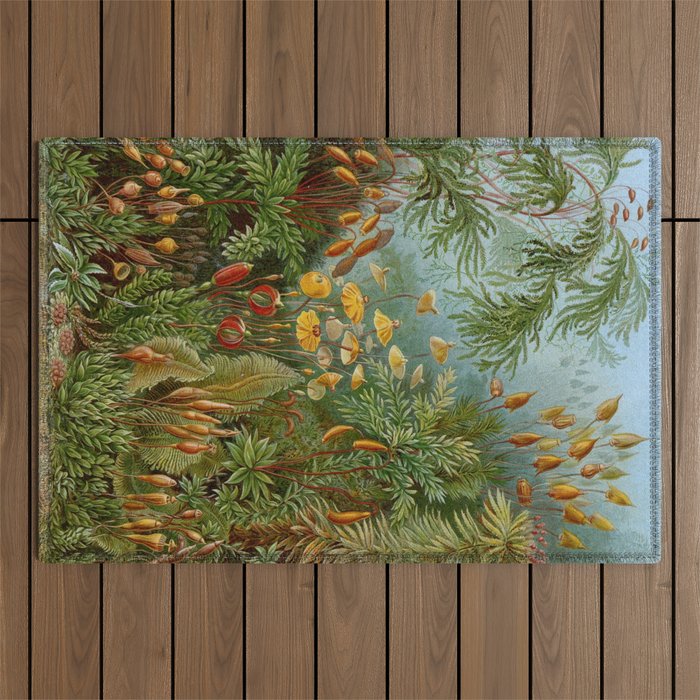 Art Forms of Nature - Ernst Haeckel - 1899-1904  Outdoor Rug Gallery Image 1