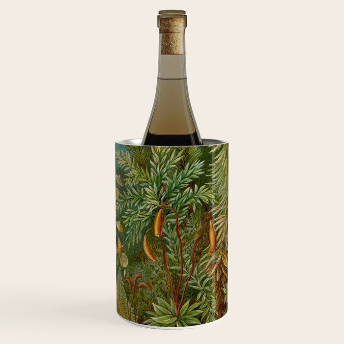 Art Forms of Nature - Ernst Haeckel - 1899-1904  Wine Chiller Gallery Image 3