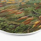 Art Forms of Nature - Ernst Haeckel - 1899-1904  Bath Mat Gallery Image 3