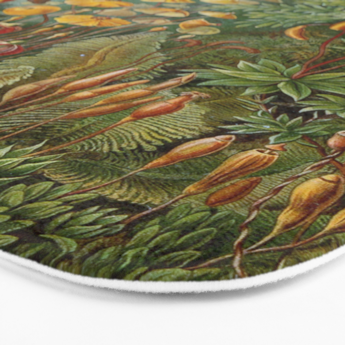Art Forms of Nature - Ernst Haeckel - 1899-1904  Bath Mat Gallery Image 3