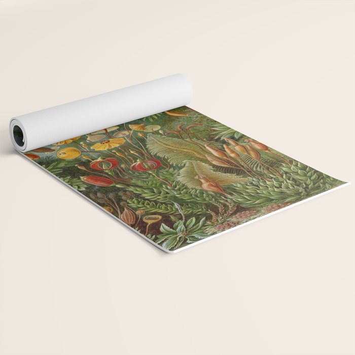 Art Forms of Nature - Ernst Haeckel - 1899-1904  Yoga Mat Gallery Image 2