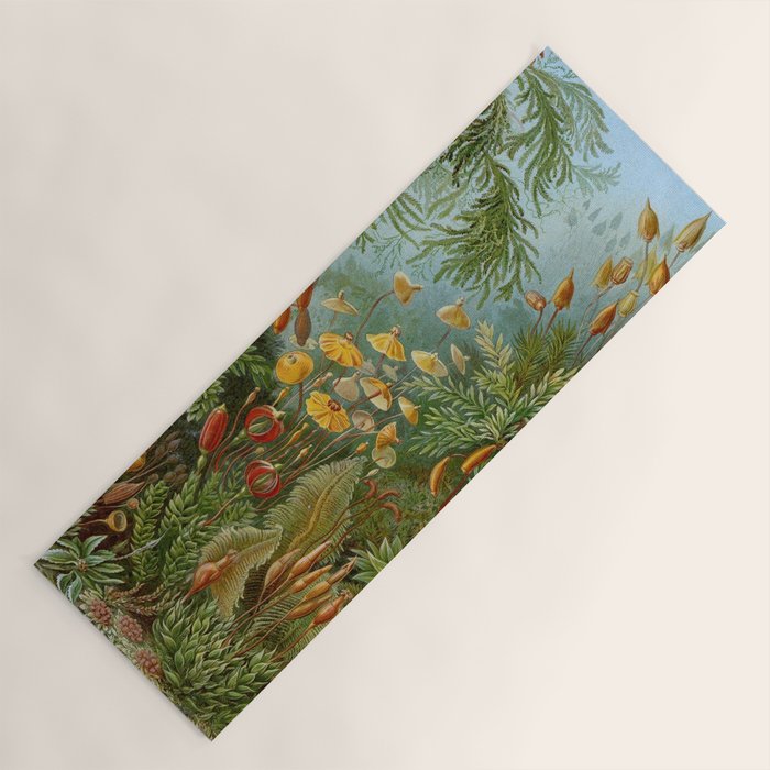 Art Forms of Nature - Ernst Haeckel - 1899-1904  Yoga Mat Gallery Image 1