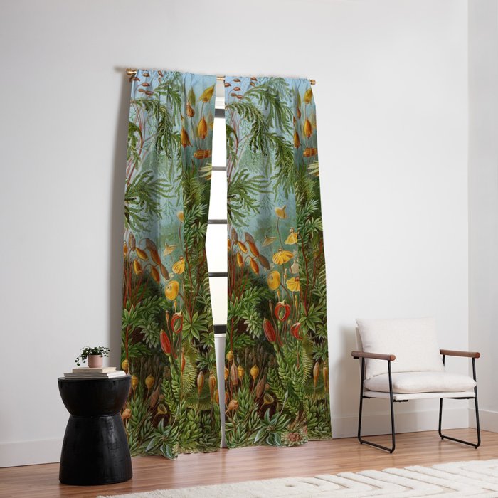 Art Forms of Nature - Ernst Haeckel - 1899-1904  Window Curtain Gallery Image 2