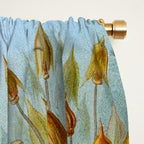 Art Forms of Nature - Ernst Haeckel - 1899-1904  Window Curtain Gallery Image 2