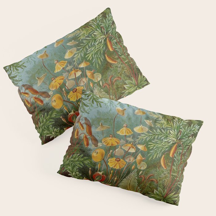 Art Forms of Nature - Ernst Haeckel - 1899-1904  Pillow Sham Gallery Image 3