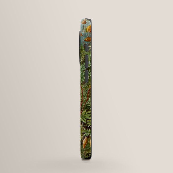 Art Forms of Nature - Ernst Haeckel - 1899-1904  iPhone Case Gallery Image 2