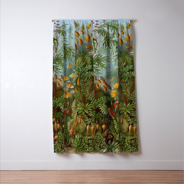 Art Forms of Nature - Ernst Haeckel - 1899-1904  Window Curtain Gallery Image 3
