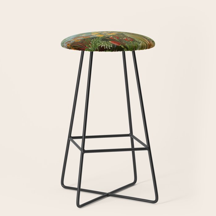 Art Forms of Nature - Ernst Haeckel - 1899-1904  Stool Gallery Image 1