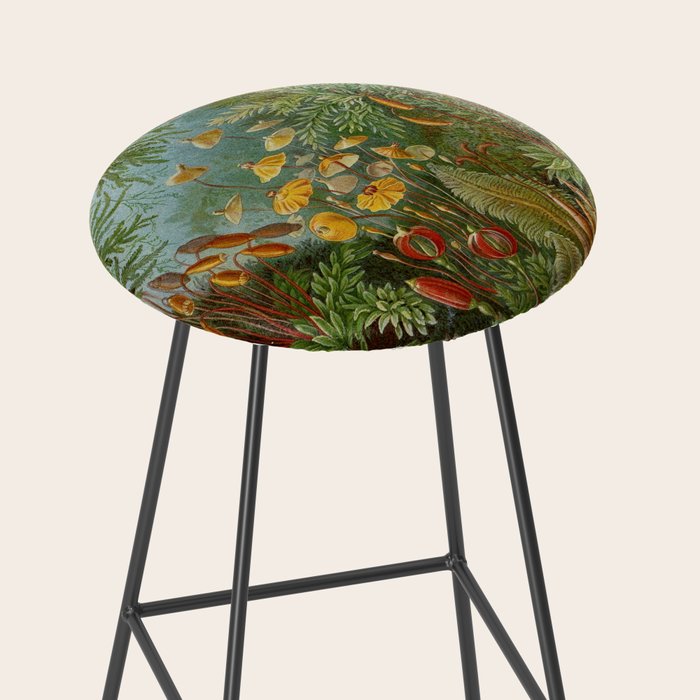 Art Forms of Nature - Ernst Haeckel - 1899-1904  Stool Gallery Image 2