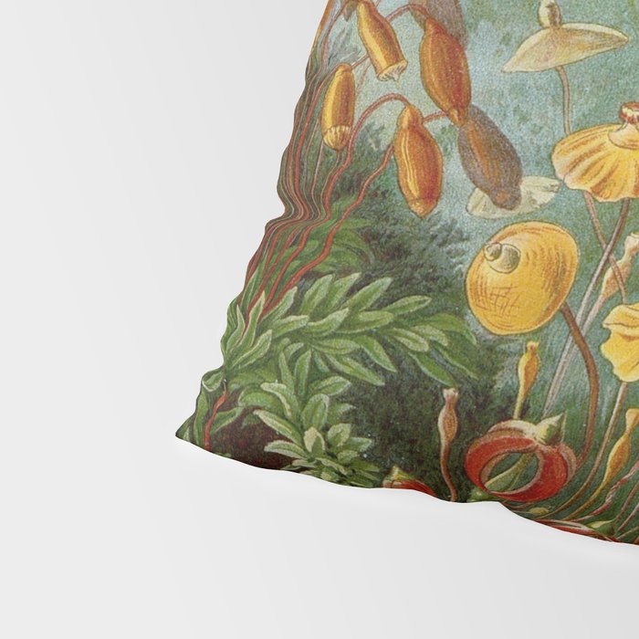 Art Forms of Nature - Ernst Haeckel - 1899-1904  Pillow Sham Gallery Image 4