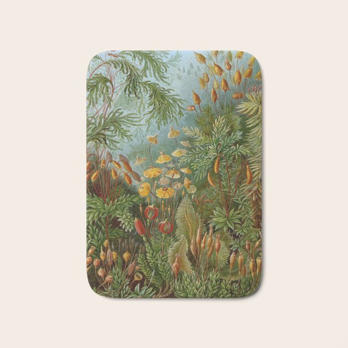 Art Forms of Nature - Ernst Haeckel - 1899-1904  Bath Mat Gallery Image 1