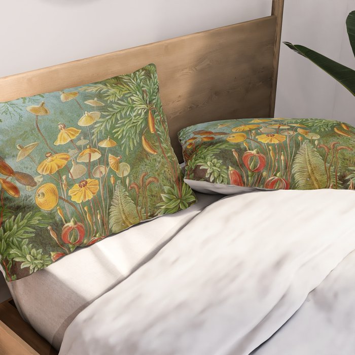 Art Forms of Nature - Ernst Haeckel - 1899-1904  Pillow Sham Gallery Image 2