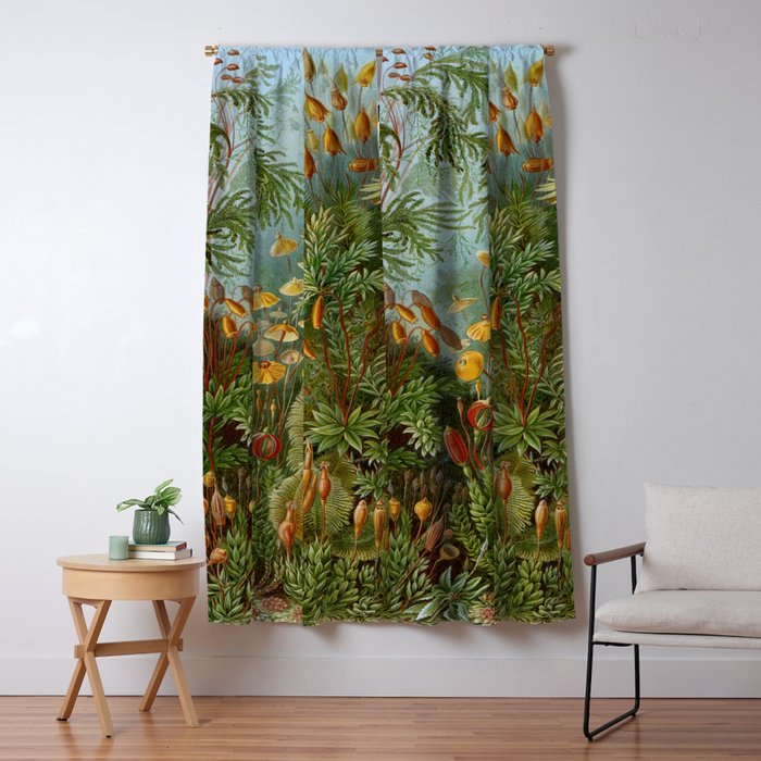 Art Forms of Nature - Ernst Haeckel - 1899-1904  Window Curtain Gallery Image 1