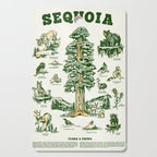 Sequoia National Park California Adventure Travel Art Print Cutting Board Gallery Image 1