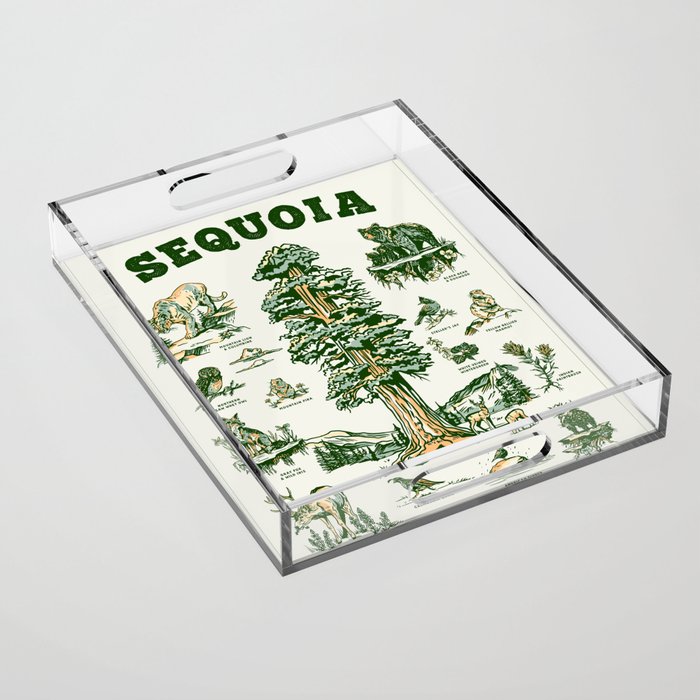 Sequoia National Park California Adventure Travel Art Print Acrylic Tray Gallery Image 1