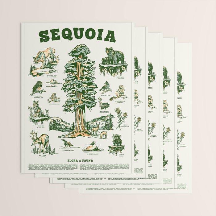 Sequoia National Park California Adventure Travel Art Print Wrapping Paper Gallery Image 3