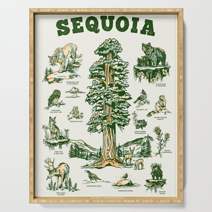 Sequoia National Park California Adventure Travel Art Print Serving Tray Gallery Image 1