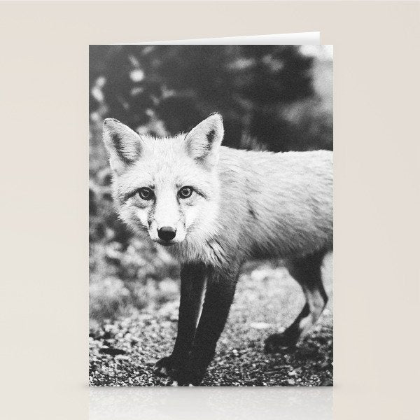 CURIOUS FOX III Stationery Card Gallery Image 2
