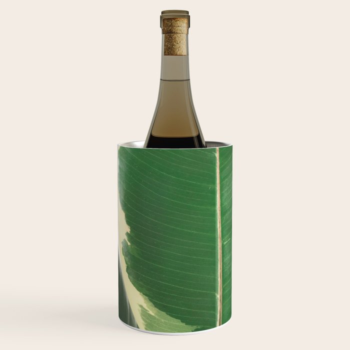 Leaf Study Wine Chiller Gallery Image 3