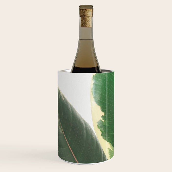 Leaf Study Wine Chiller Gallery Image 1