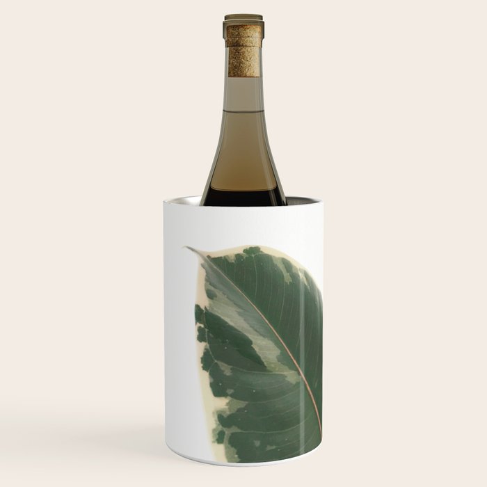 Leaf Study Wine Chiller Gallery Image 2