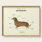 Anatomy of a Dachshund Serving Tray Gallery Image 1