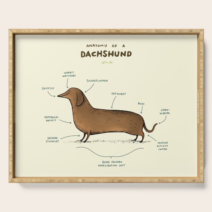 Anatomy of a Dachshund Serving Tray Gallery Image 1