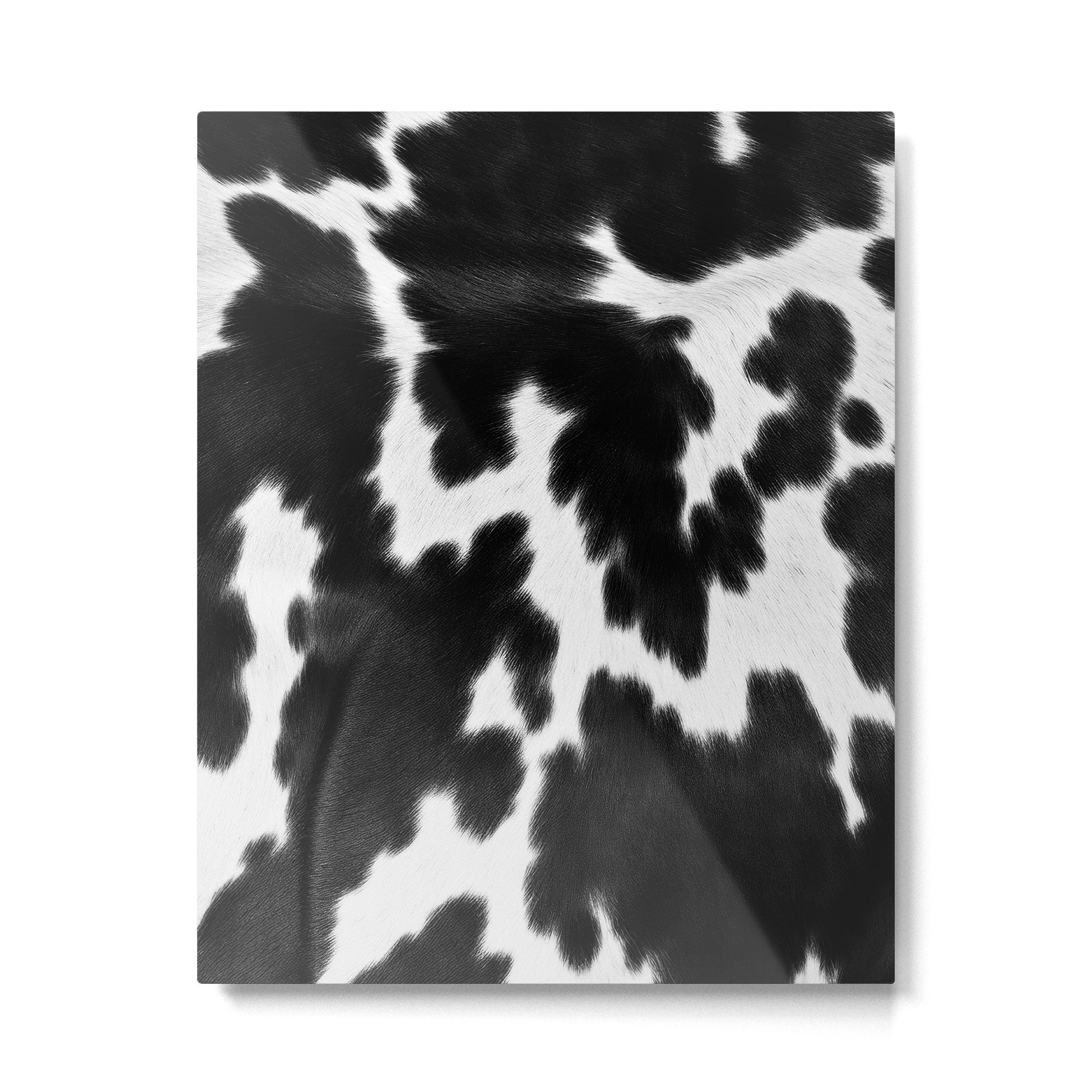 Black and White Rustic Cow Print Metal Print Gallery Image 6