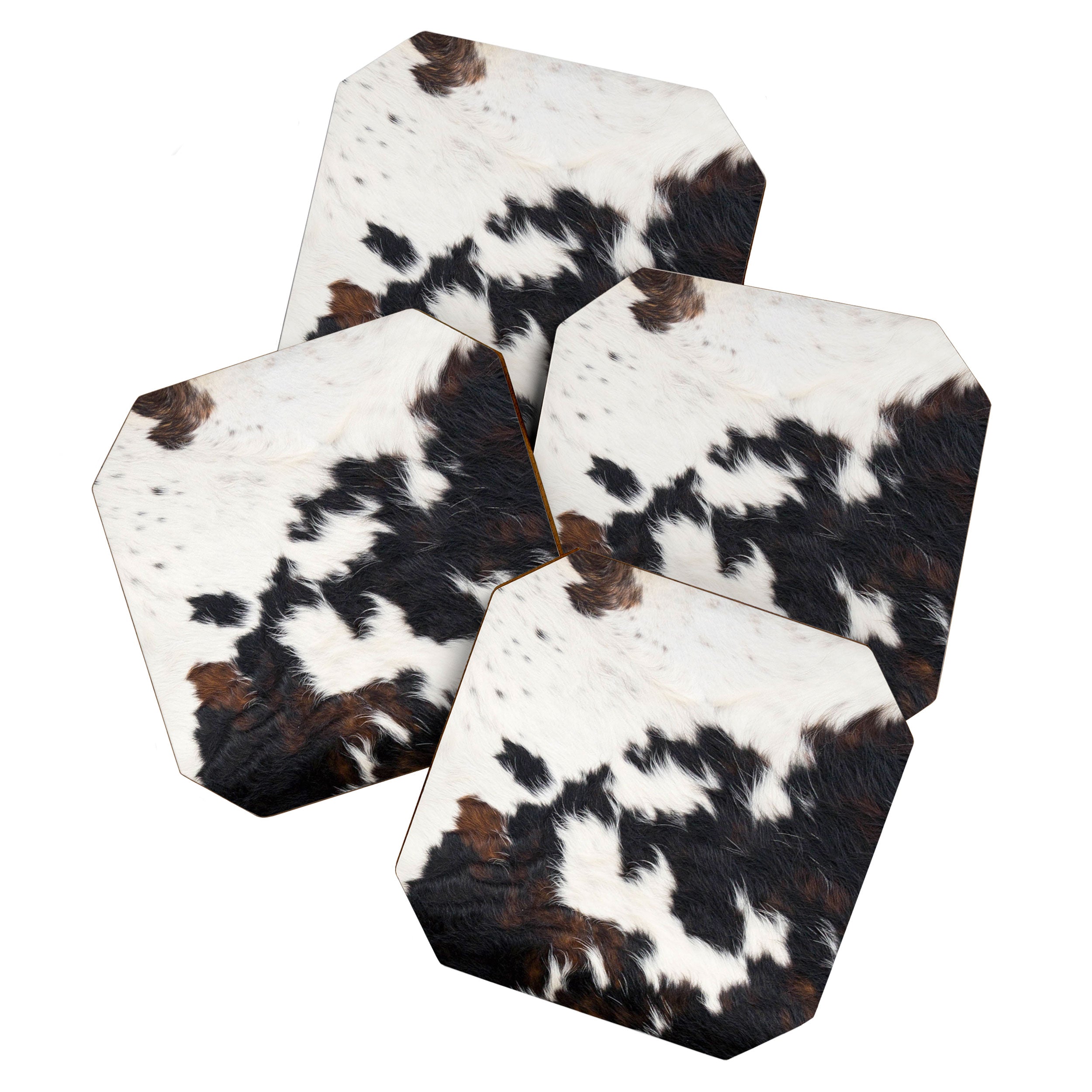 Brown Cowhide Coaster Gallery Image 1