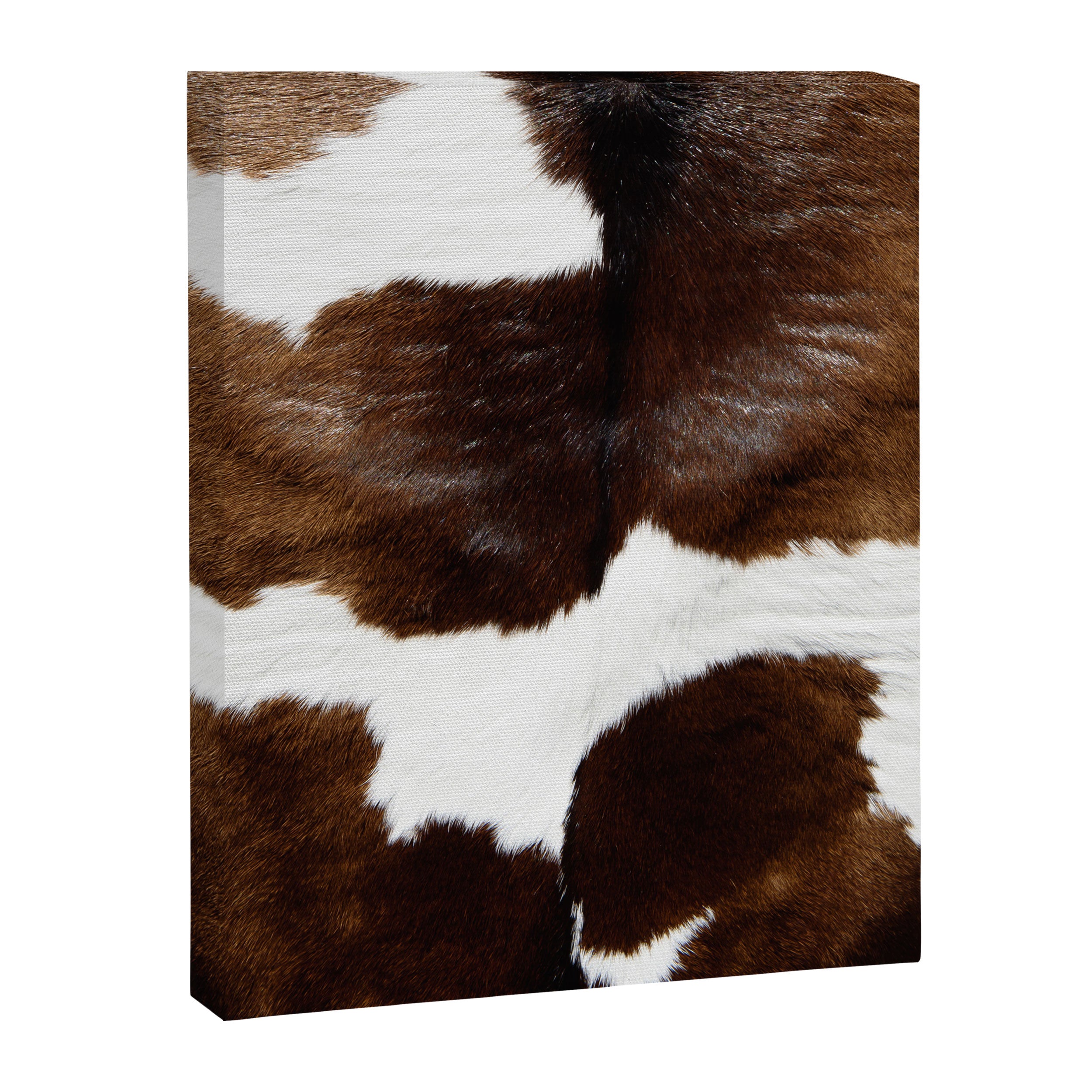 Brown Cowhide Canvas Print Gallery Image 8