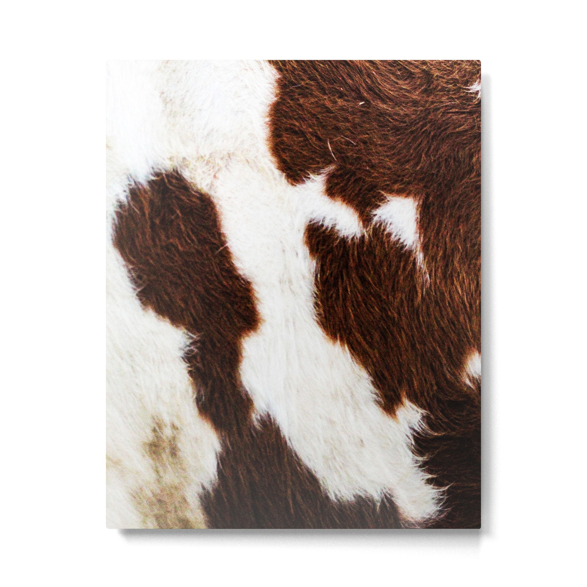Cowhide Brown Spots Metal Print Gallery Image 6