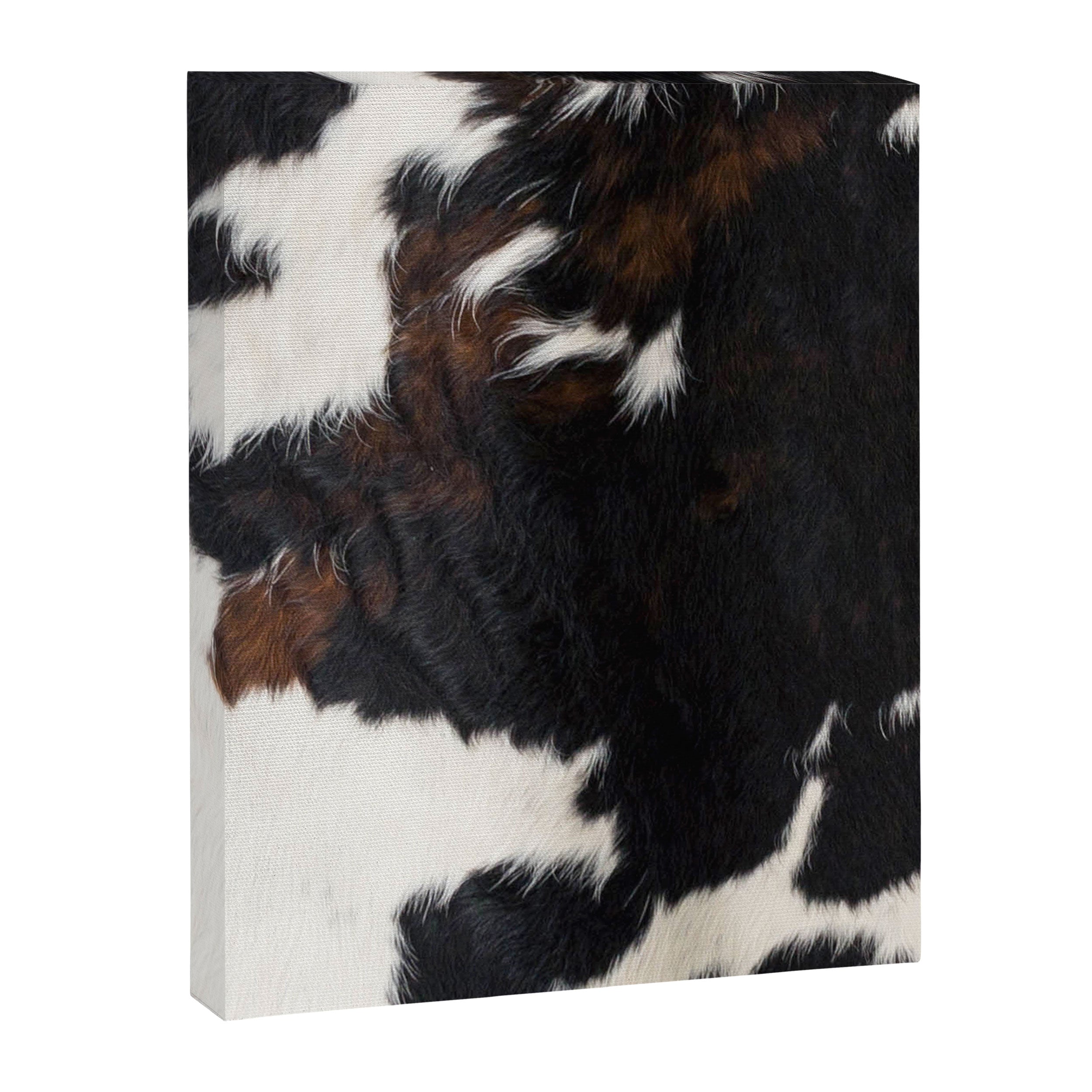 Cowhide Farmhouse Decor (photograph) Canvas Print Gallery Image 8
