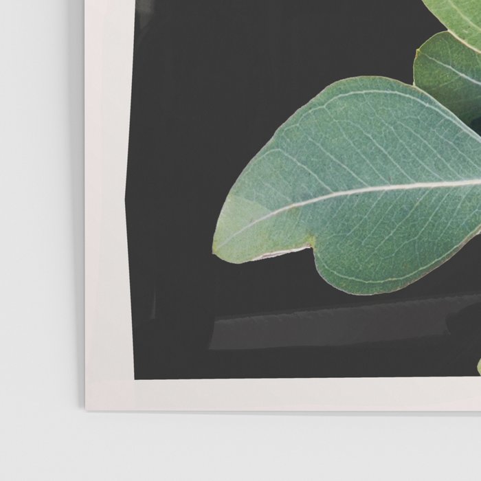 Abstract Botanical  Poster Gallery Image 3