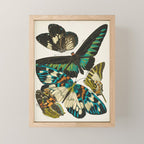 Vintage Butterfly Illustration EA Seguy Papillon Mini Art Print Gallery Image 1