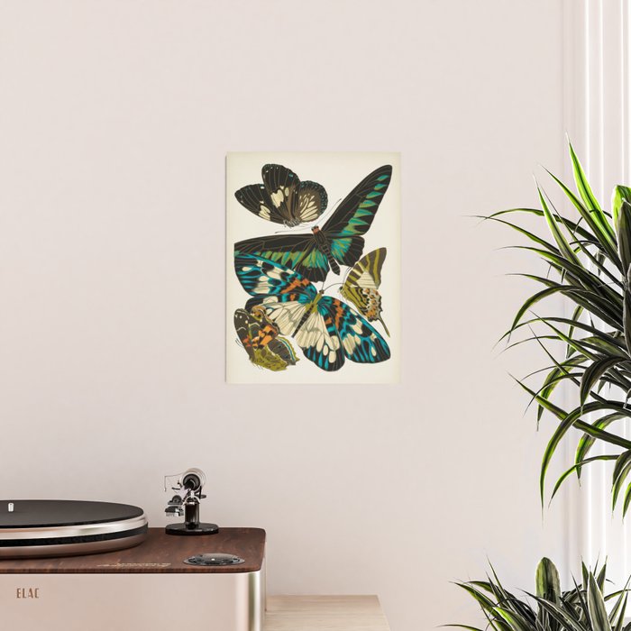 Vintage Butterfly Illustration EA Seguy Papillon Poster Gallery Image 2