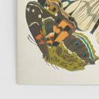Vintage Butterfly Illustration EA Seguy Papillon Poster Gallery Image 3