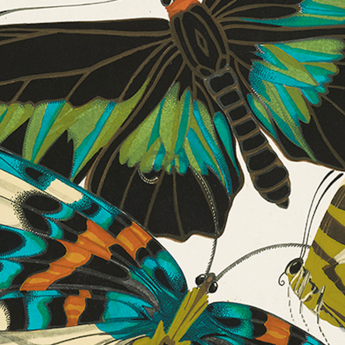 Vintage Butterfly Illustration EA Seguy Papillon Coffee Mug Gallery Image 2