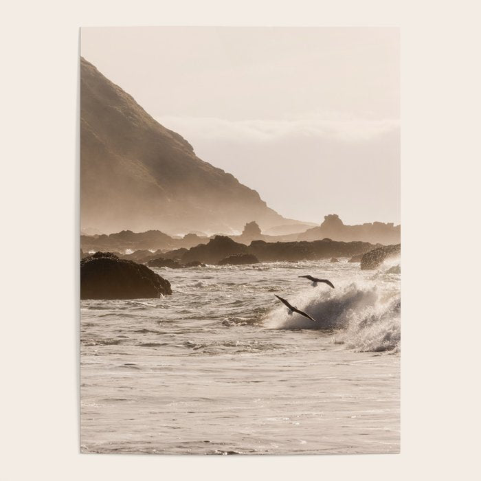 Pacific Coast Summer Beach Sunset Poster Gallery Image 4