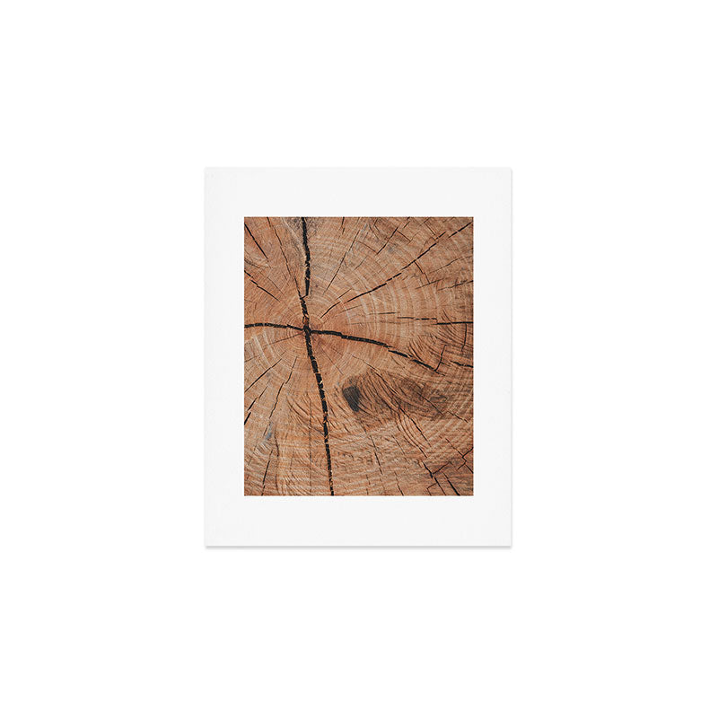 Tree Rings Rustic Cabin Lodge Raw Wood Art Print Gallery Image 1