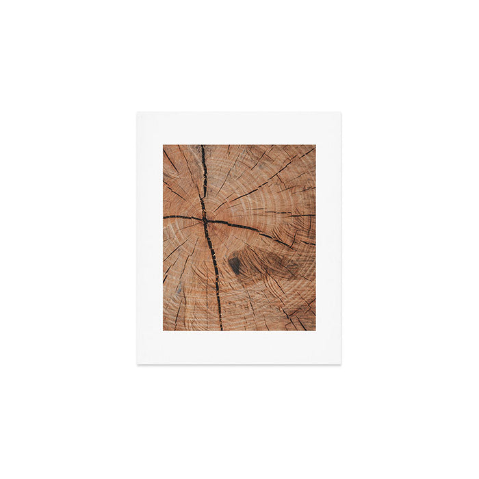 Tree Rings Rustic Cabin Lodge Raw Wood Art Print Gallery Image 1
