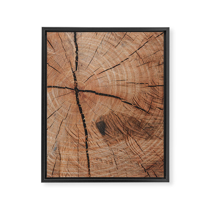 Tree Rings Rustic Cabin Lodge Raw Wood Framed Canvas Print Gallery Image 1