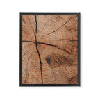 Tree Rings Rustic Cabin Lodge Raw Wood Framed Canvas Print Gallery Image 8