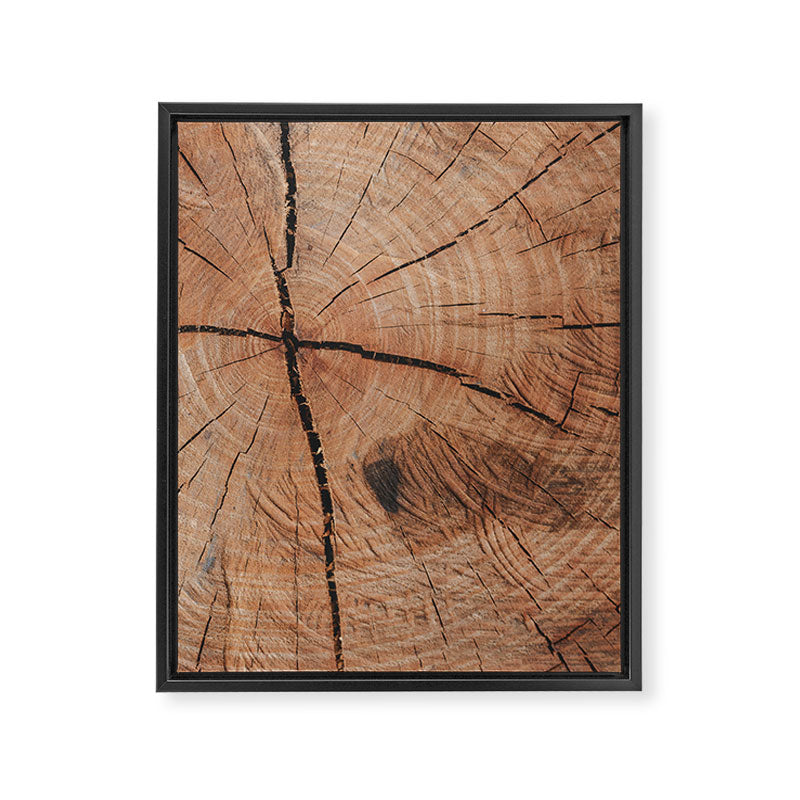Tree Rings Rustic Cabin Lodge Raw Wood Framed Canvas Print Gallery Image 8