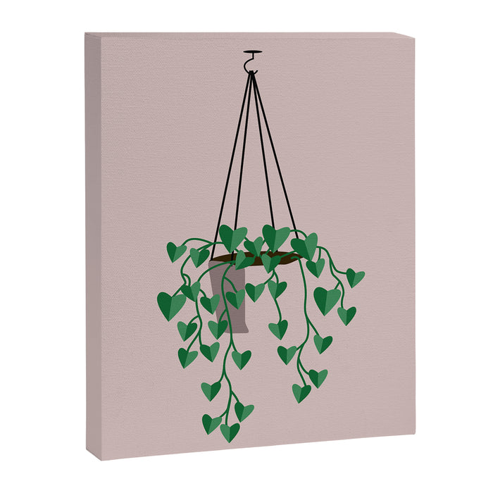 hanging house plant Canvas Print Gallery Image 1
