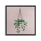hanging house plant Framed Canvas Print Gallery Image 3
