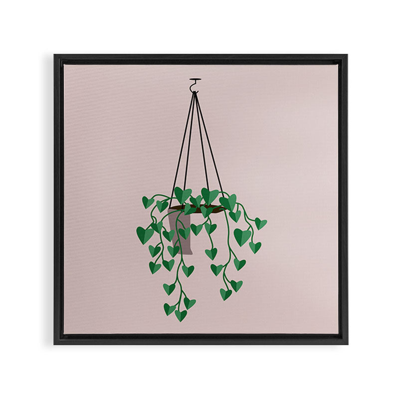 hanging house plant Framed Canvas Print Gallery Image 3